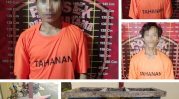Polsek Penawartama Gagalkan Aksi Pencurian Sawit di PT SIP, Ringkus Tiga Pelaku Termasuk Residivis