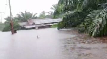 Ratusan Rumah di Desa Singkuang I Terendam Banjir Hampir 2 Meter, Warga Minta Bantuan Bupati Mandailing Natal