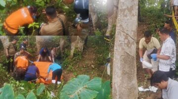 Sempat Dilaporkan Hilang, Warga Padangsidimpuan Temukan Jasad NN di Areal Kebun, Diduga Korban Pembunuhan
