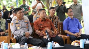 Panen Raya Jagung Serentak Kuartal I, Wabup Sukabumi: Kolaborasi Jadi Kunci Kemandirian Pangan