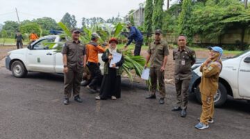 Pemkot Tangerang Salurkan Bantuan 20.000 Bibit Kelapa Genjah ke 104 Kelurahan