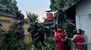 Gerak Cepat Satgas Siaga Bencana Polres Lampung Utara Evakuasi Pohon Tumbang di Desa Cempedak