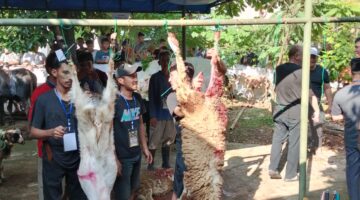DKM Masjid Ar-Rahman BMR, Selenggarakan Sholat Id & Pemotongan Hewan Qurban