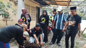 Idul Adha 1447 H, LAN Kota Tangerang Perkuat Kepedulian Sosial dan Kebersamaan Melalui Berqurban