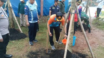 Ubah Wajah Terminal Kalideres, Belasan Pohon Tabebuya dan Ribuan Pretty Pink Ditanam untuk Ciptakan Ruang Publik yang Lebih Sejuk