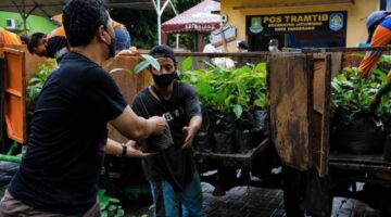 Pemkot Tangerang Sediakan Bibit Tanaman Gratis, Begini Cara Mudah Mendapatkannya